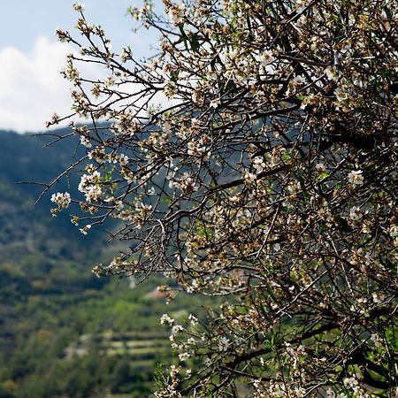 The Old Olive Mill House By Trulycyprus Villa Dhoros Exterior photo