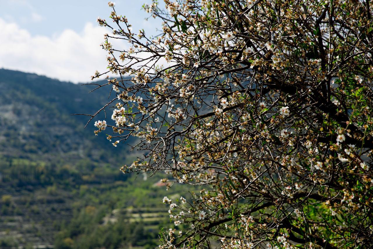 The Old Olive Mill House By Trulycyprus Villa Dhoros Exterior photo