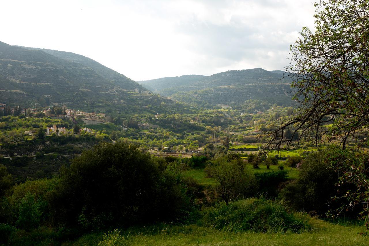 The Old Olive Mill House By Trulycyprus Villa Dhoros Exterior photo